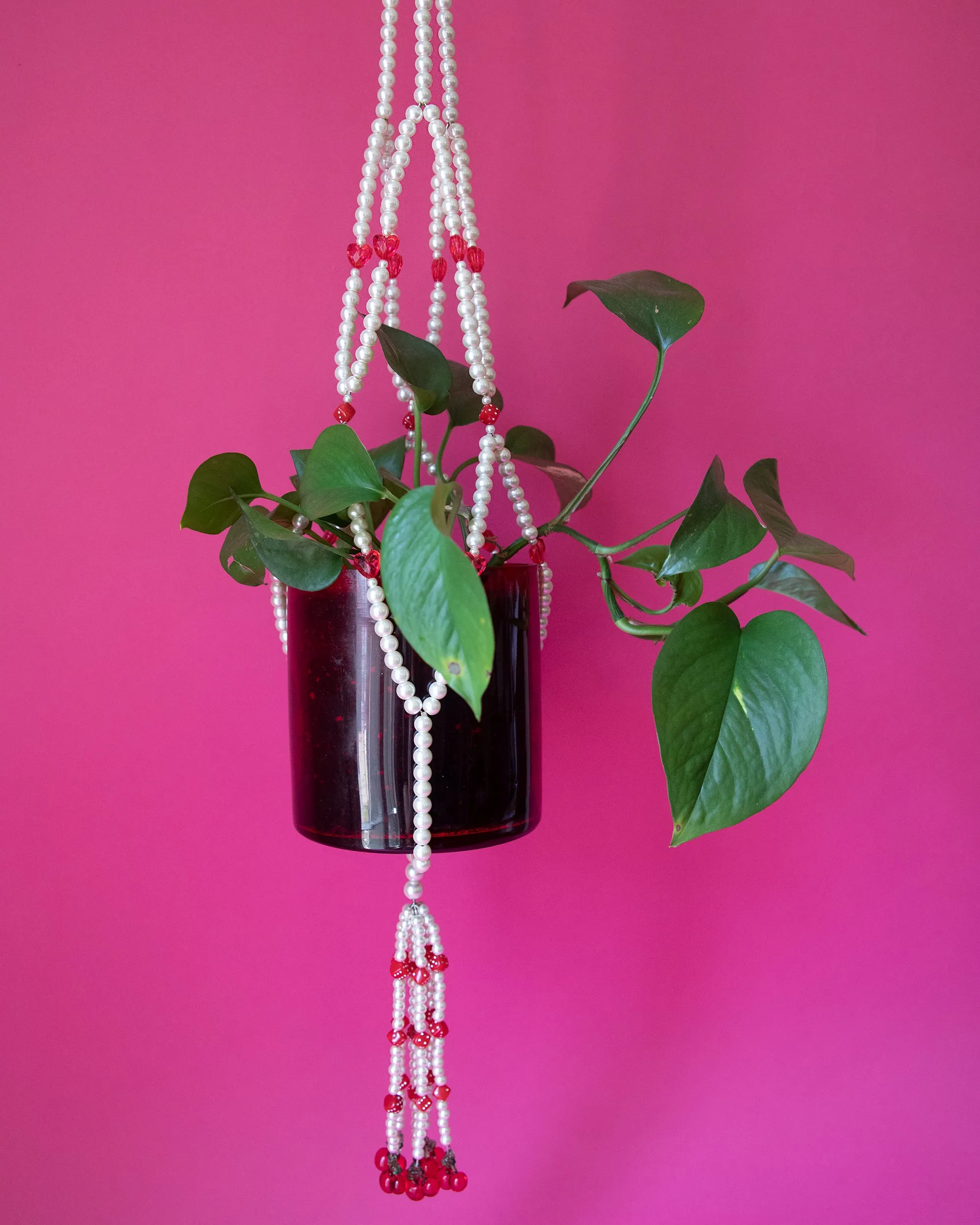 Cherry Lucky Pearl Planter