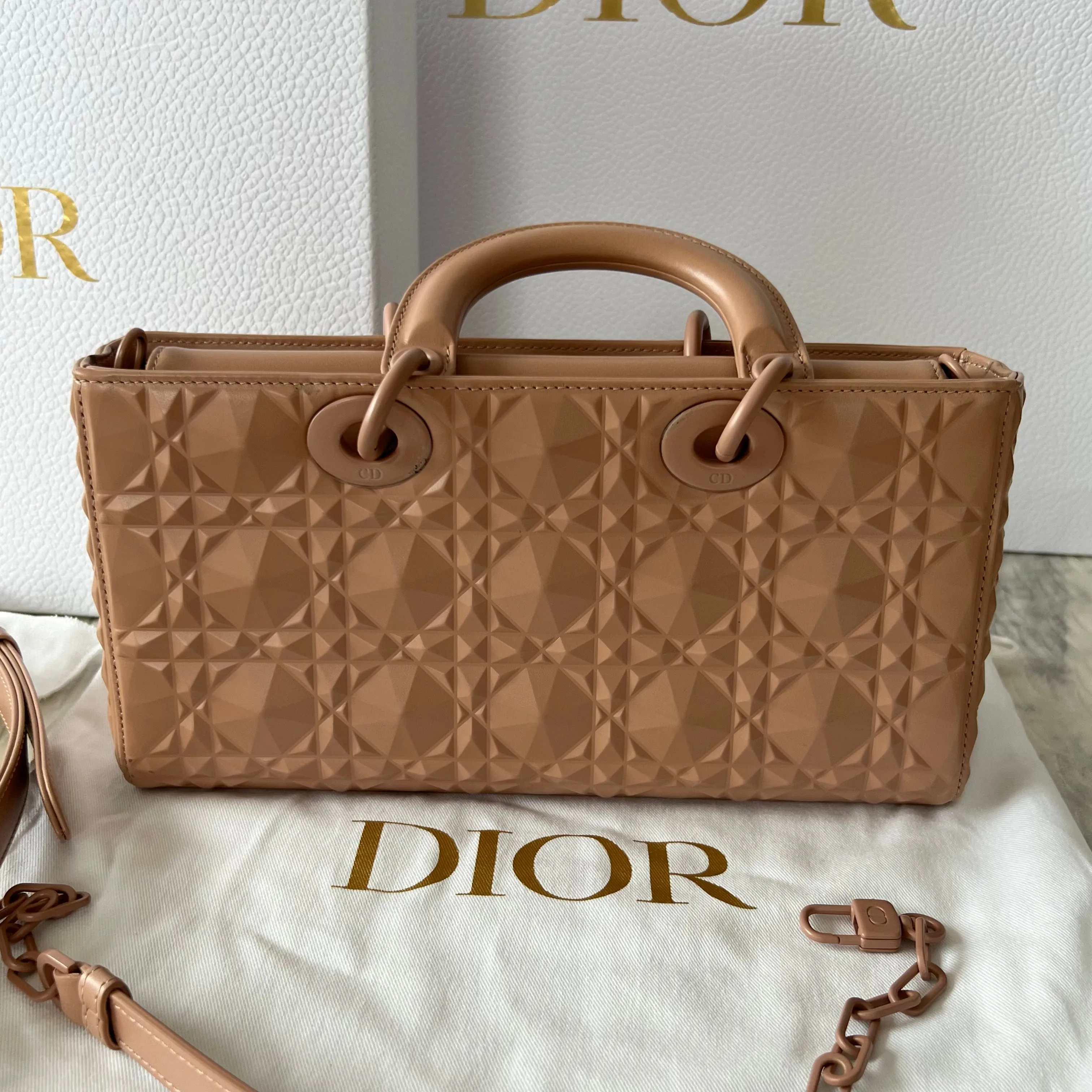 Christian Dior Lady D-Joy Bag