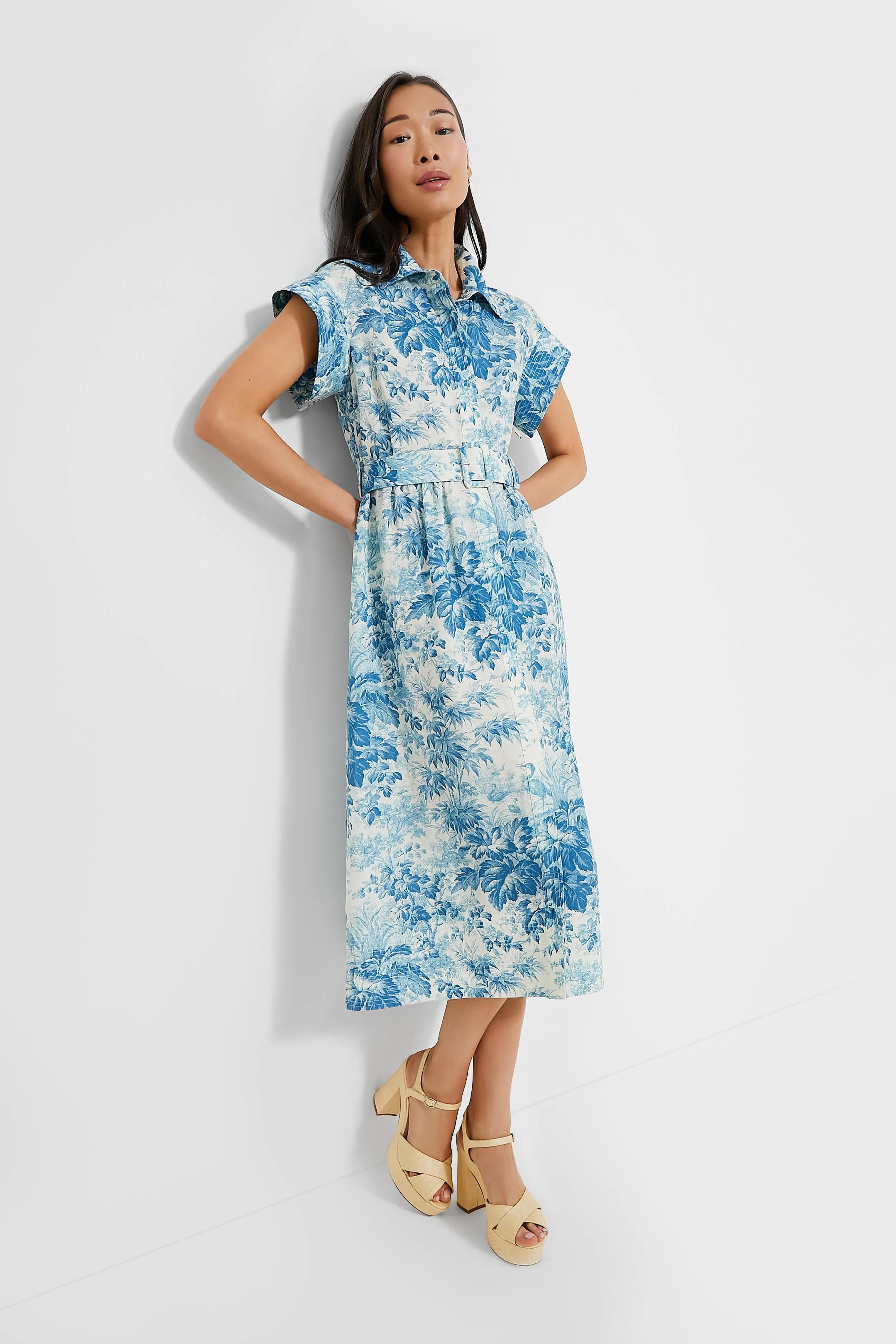 Misty Blue Toile Chloe Dress