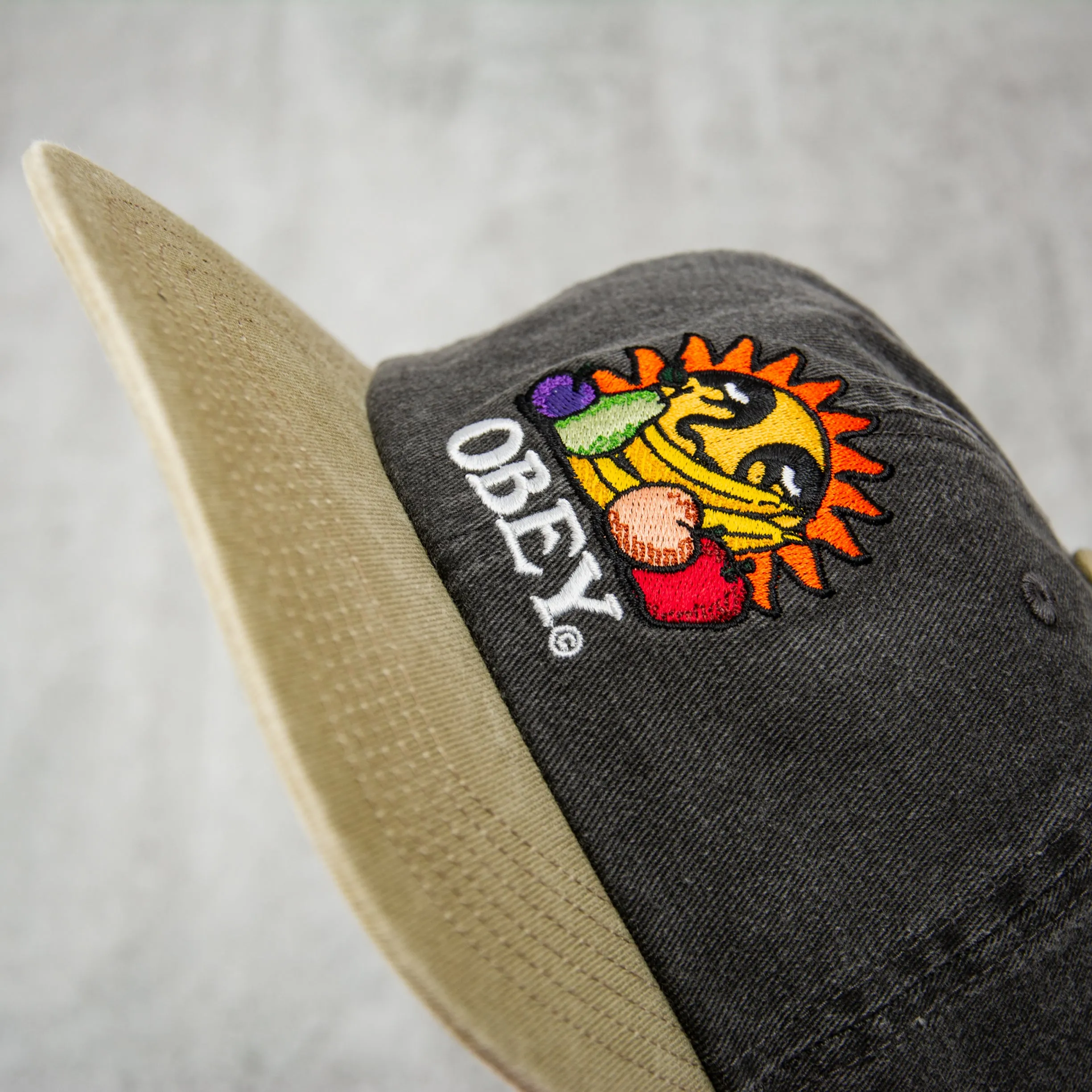 Obey Pigment Fruits 6 Panel Snapback - Black Multi